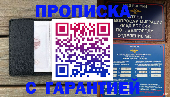 временная регистрация для всех в Ингушетии